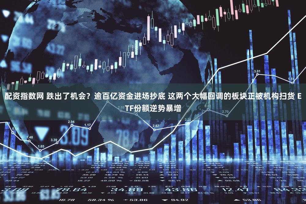 配资指数网 跌出了机会？逾百亿资金进场抄底 这两个大幅回调的板块正被机构扫货 ETF份额逆势暴增