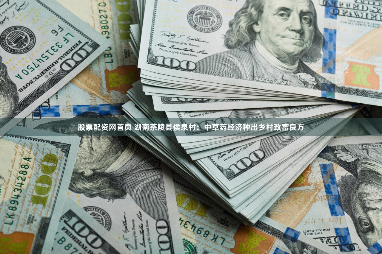股票配资网首页 湖南茶陵县侯泉村：中草药经济种出乡村致富良方