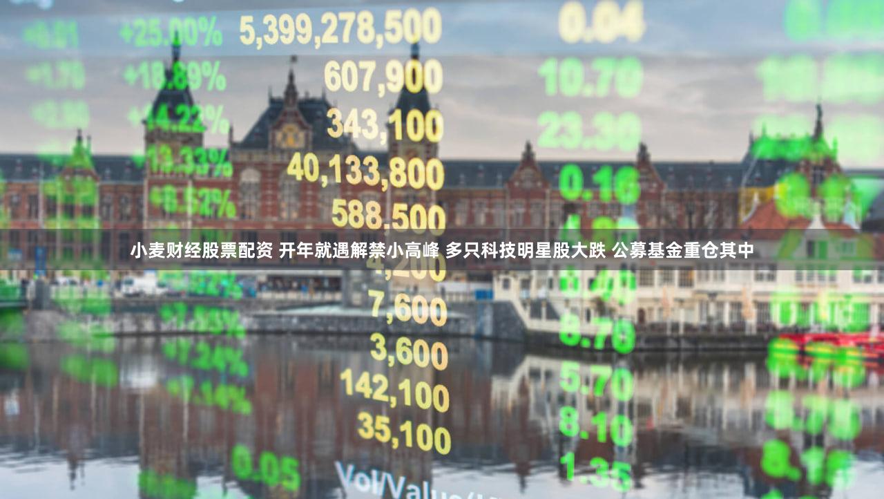 小麦财经股票配资 开年就遇解禁小高峰 多只科技明星股大跌 公募基金重仓其中