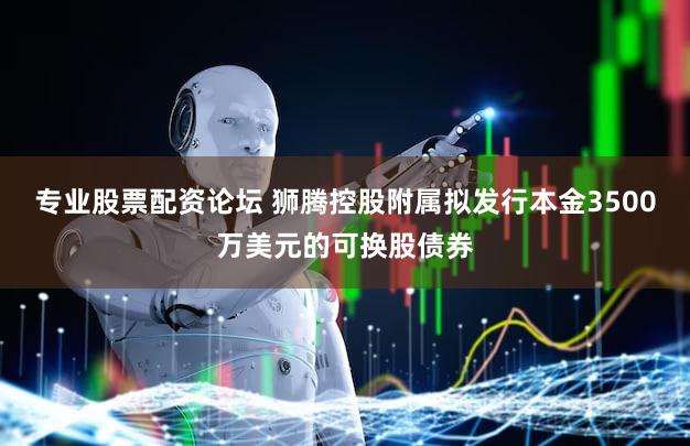 专业股票配资论坛 狮腾控股附属拟发行本金3500万美元的可换股债券