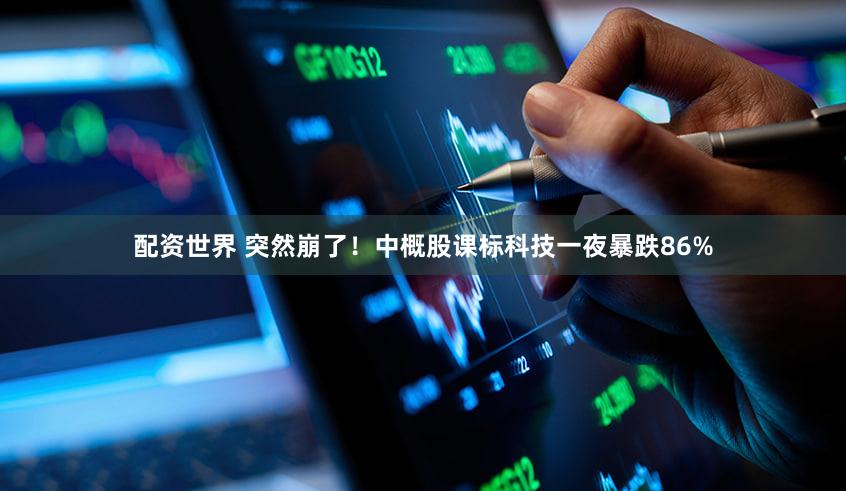 配资世界 突然崩了！中概股课标科技一夜暴跌86%