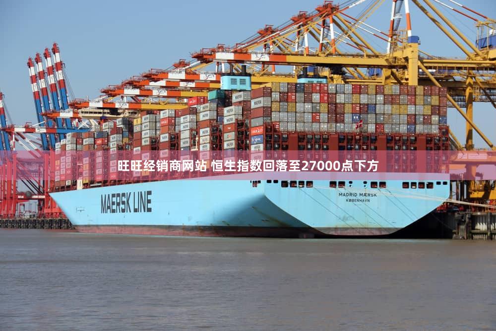 旺旺经销商网站 恒生指数回落至27000点下方