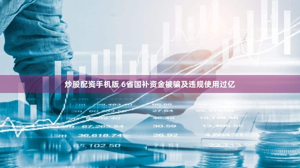 炒股配资手机版 6省国补资金被骗及违规使用过亿