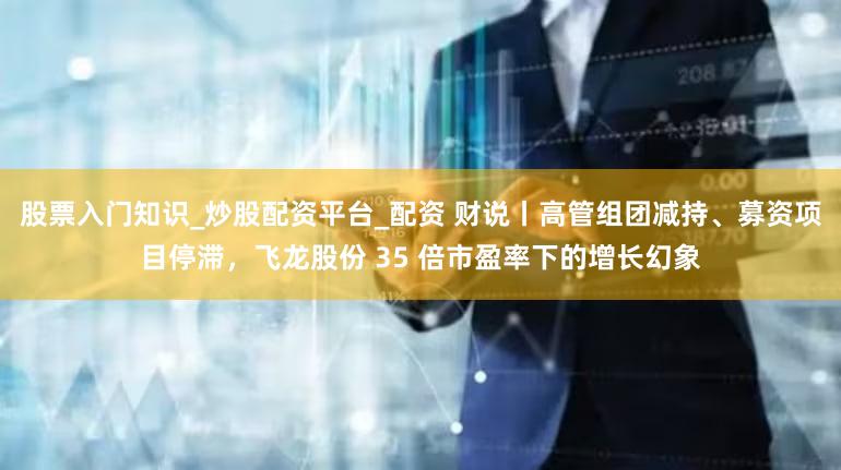 股票入门知识_炒股配资平台_配资 财说丨高管组团减持、募资项目停滞，飞龙股份 35 倍市盈率下的增长幻象