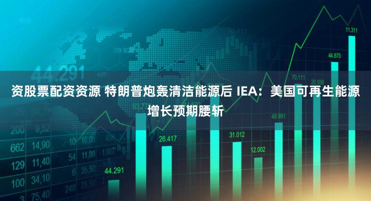 资股票配资资源 特朗普炮轰清洁能源后 IEA：美国可再生能源增长预期腰斩