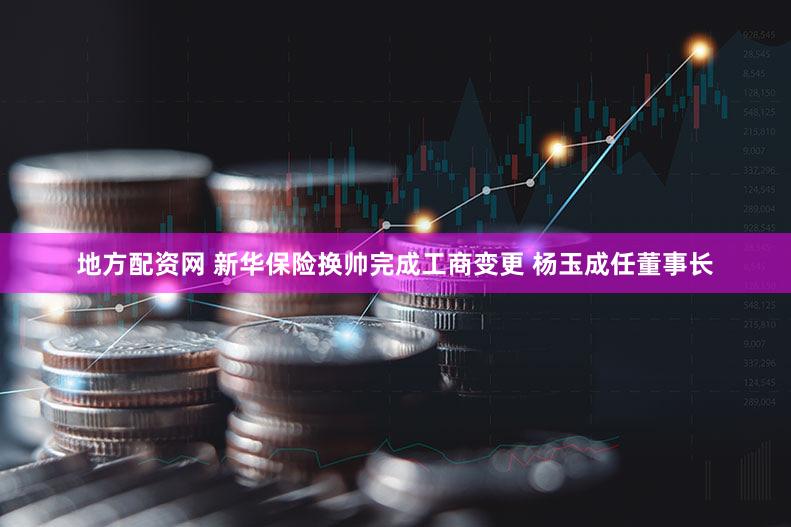 地方配资网 新华保险换帅完成工商变更 杨玉成任董事长